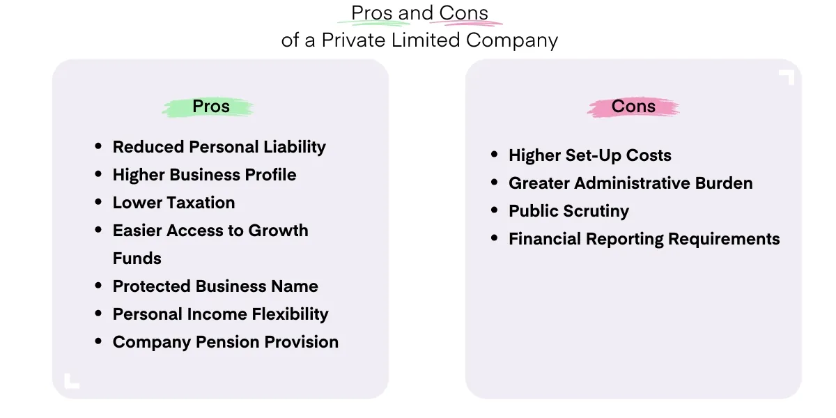 The Pros and Cons of a Private Limited Company Infographic