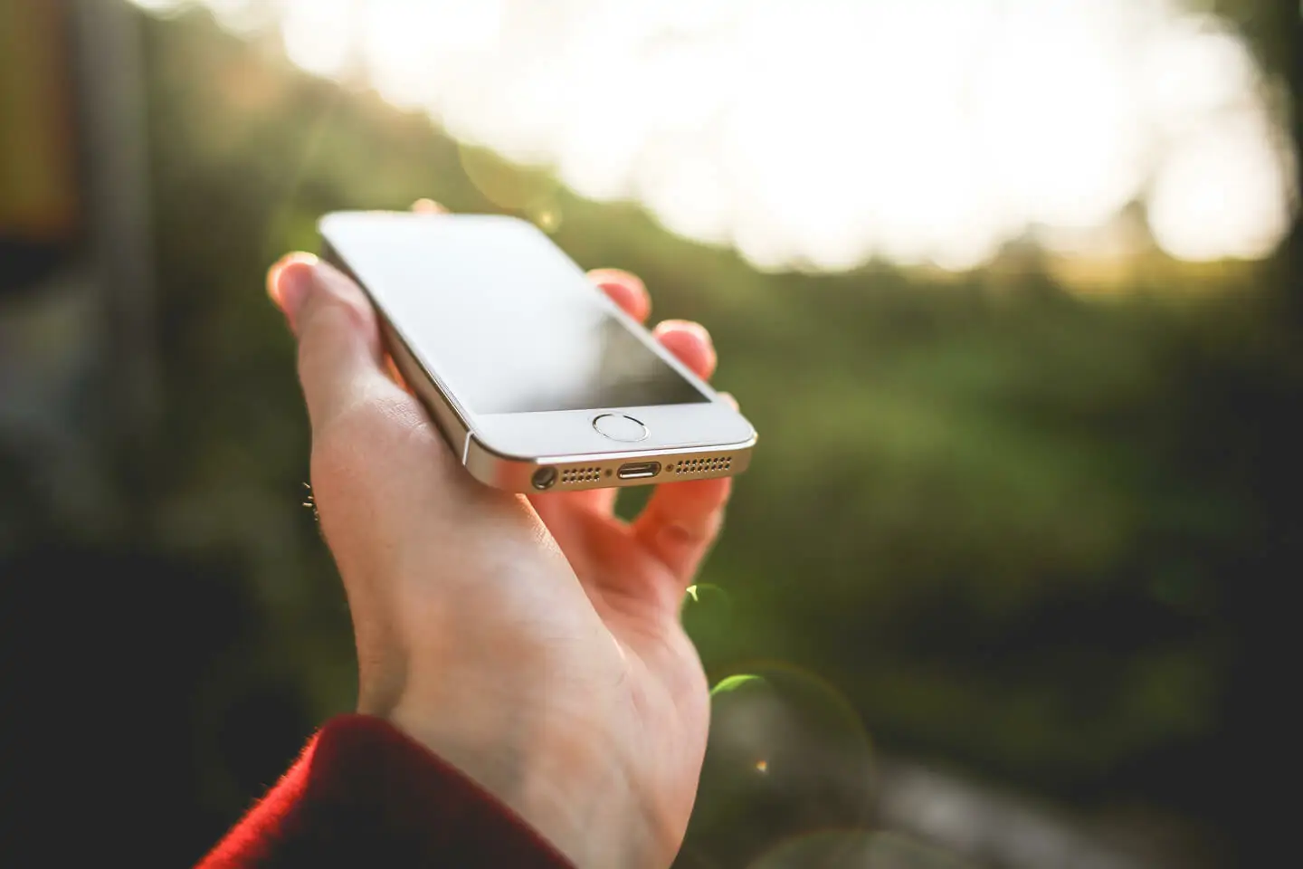 Someone using a phone to search government grants