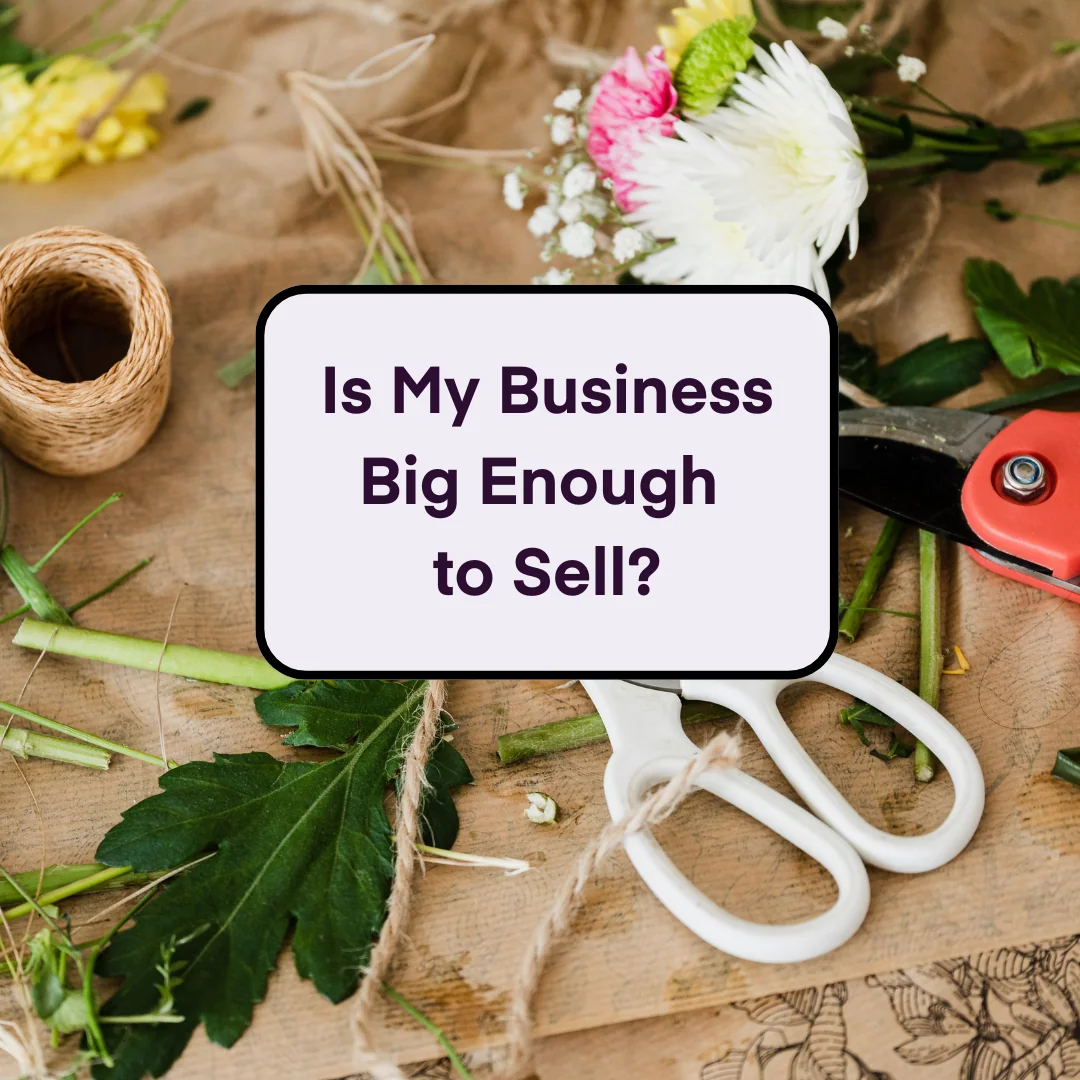 Is my business big enough to sell