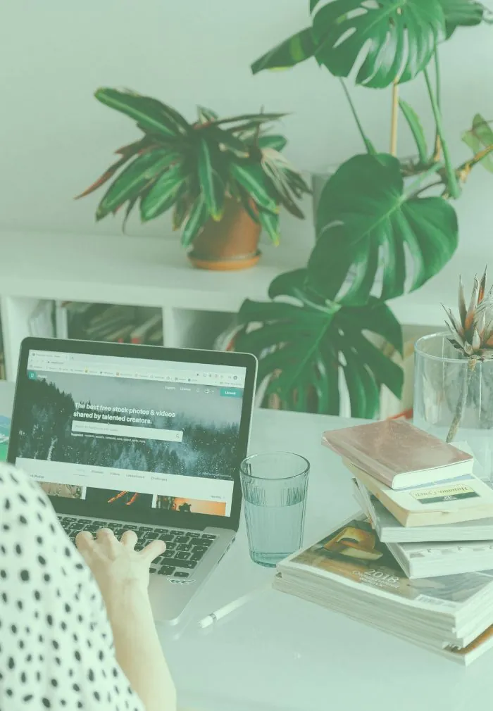 Accounting client