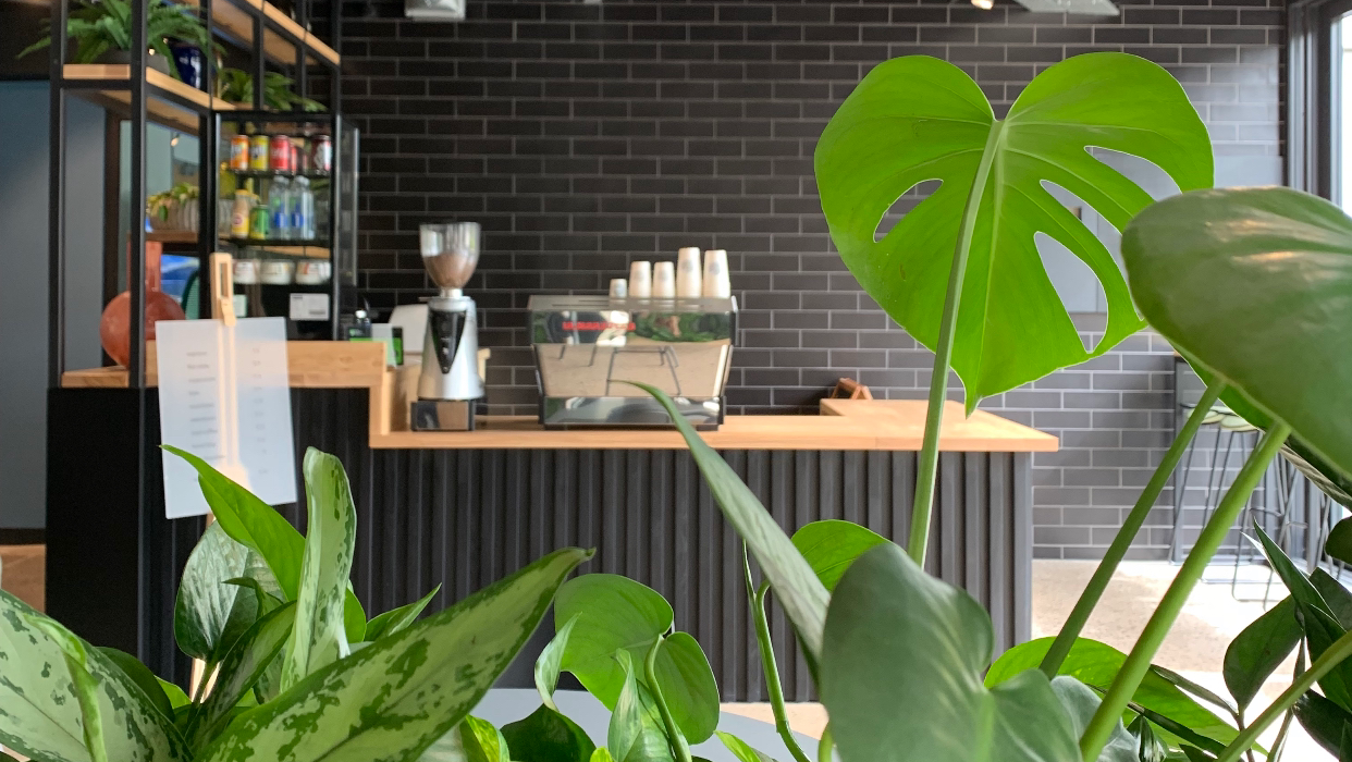 Miles Coffee, Liverpool